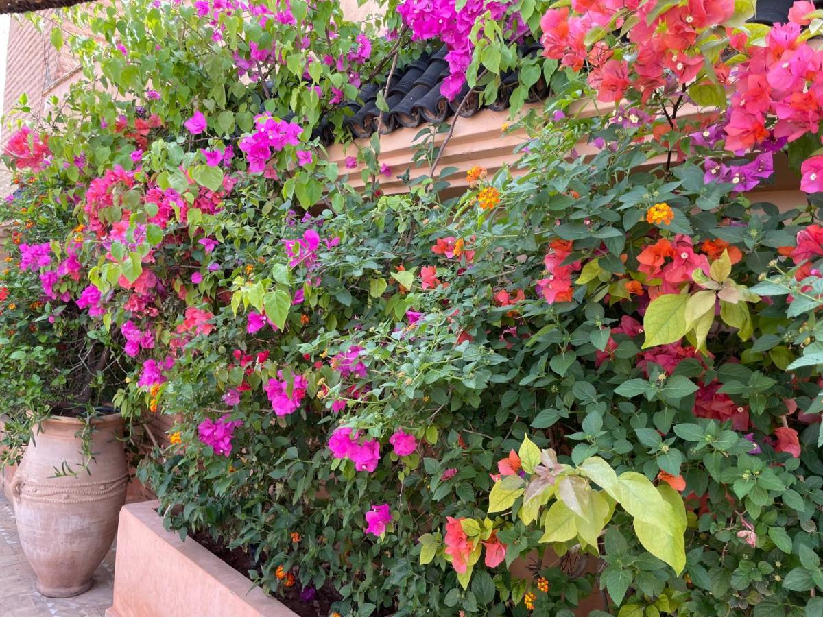 Riad Zouhour Marrakesh Eksteriør billede