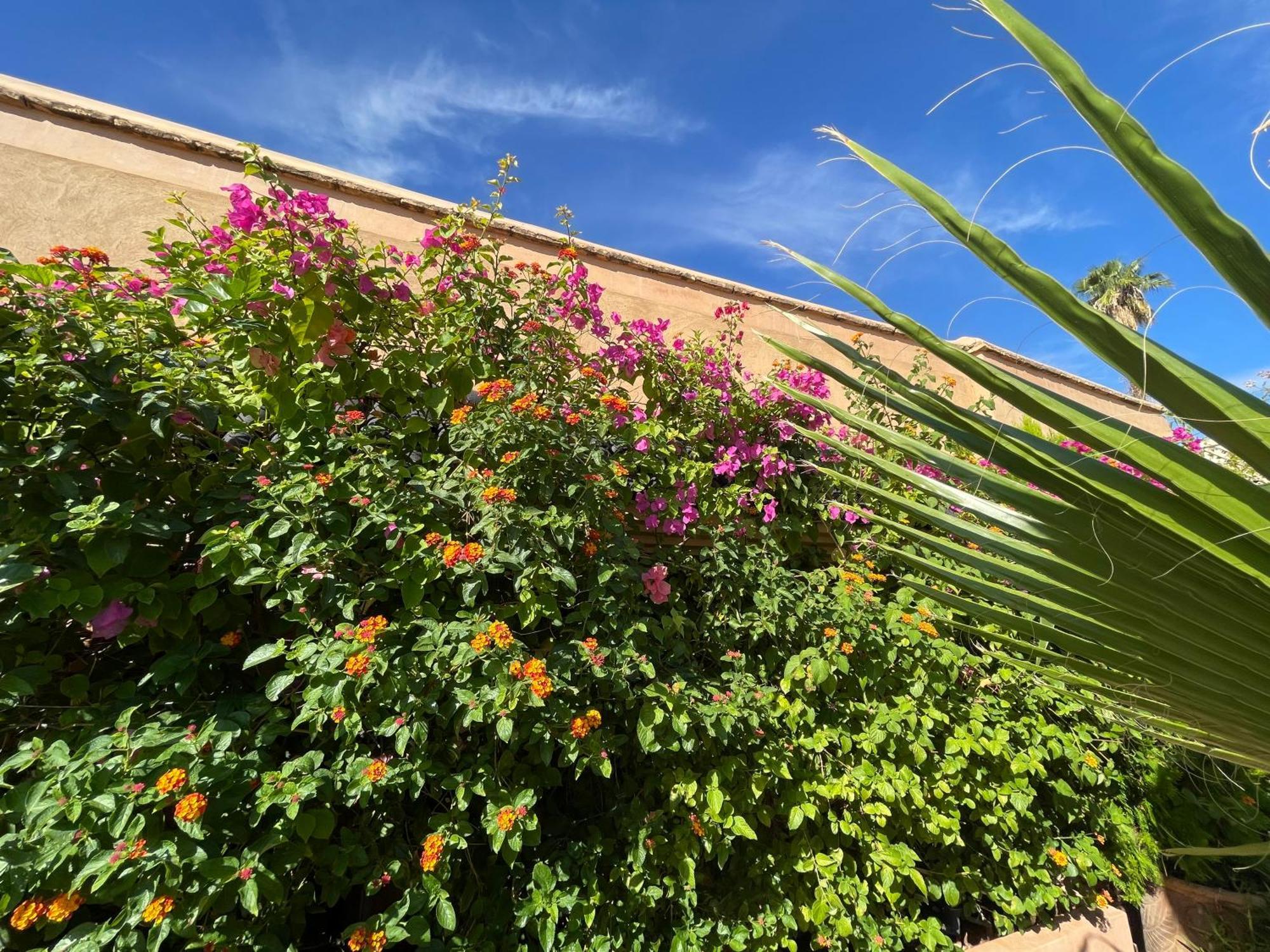 Riad Zouhour Marrakesh Eksteriør billede