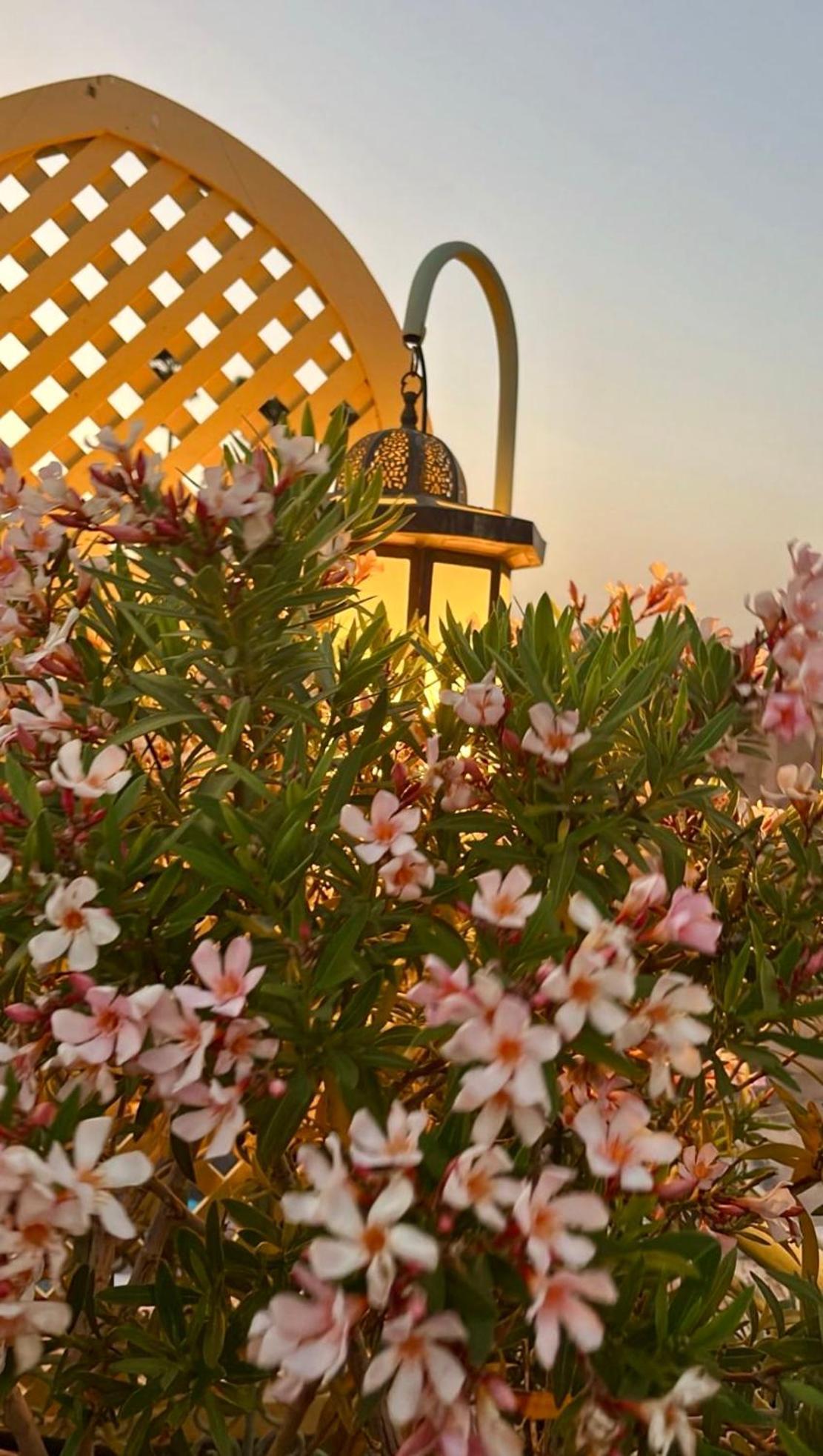 Riad Zouhour Marrakesh Eksteriør billede